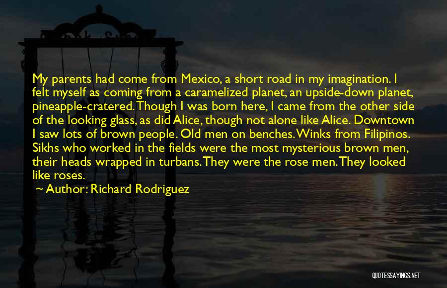 Richard Rodriguez Quotes 1167791