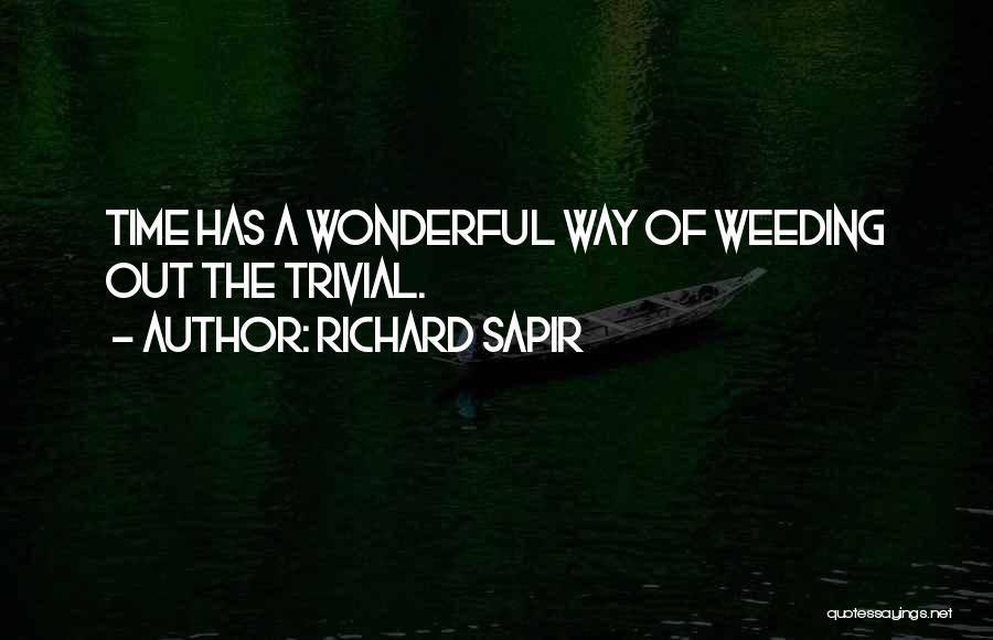 Richard Sapir Quotes 1738067