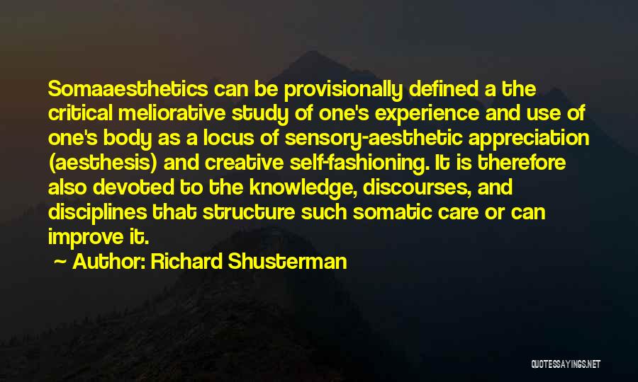 Richard Shusterman Quotes 1455152