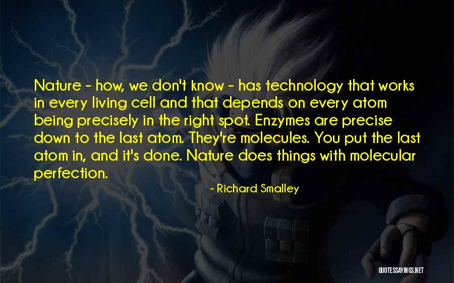 Richard Smalley Quotes 1204260