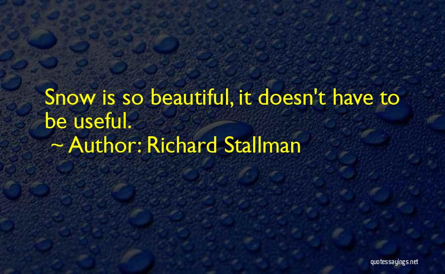 Richard Stallman Quotes 1011367