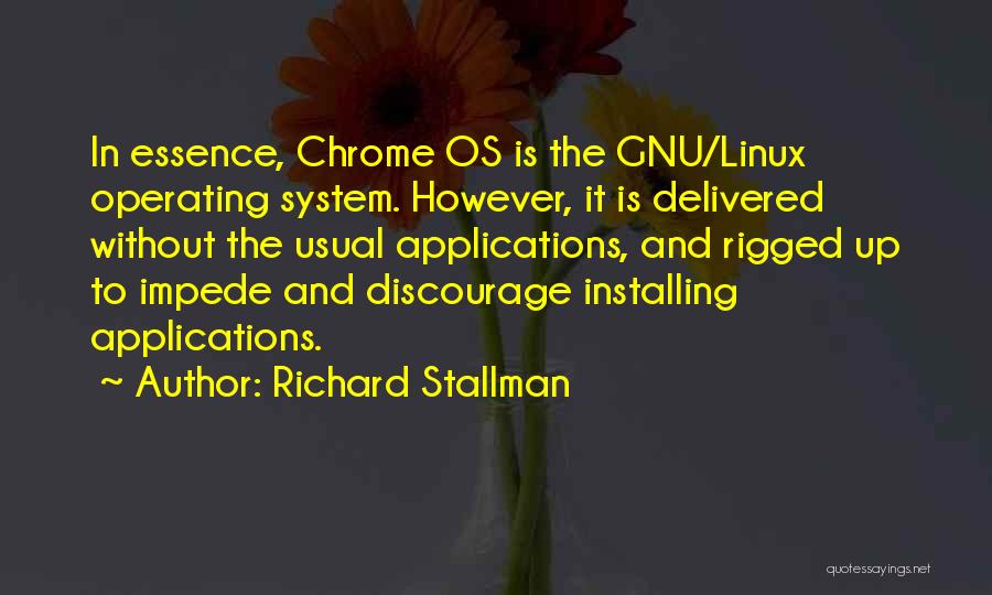 Richard Stallman Quotes 1072067