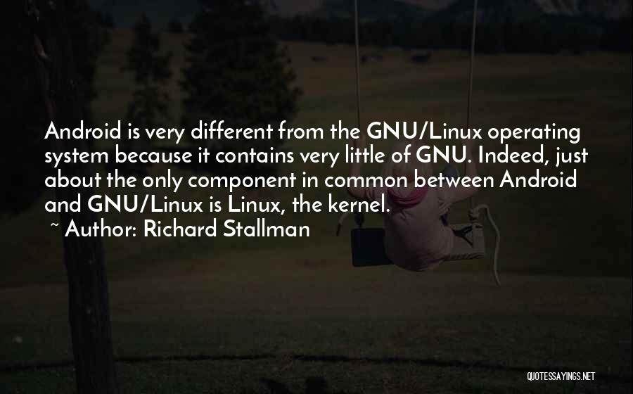 Richard Stallman Quotes 170606