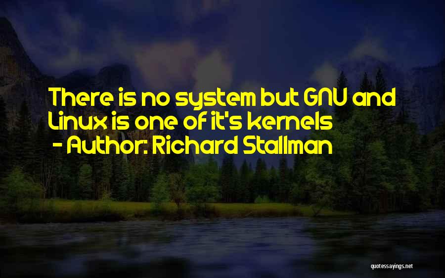 Richard Stallman Quotes 183229