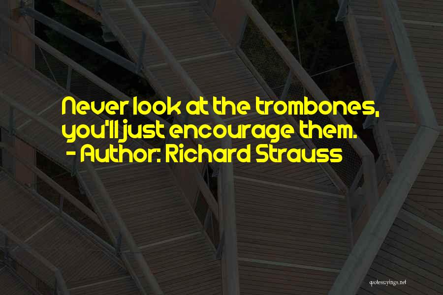 Richard Strauss Quotes 1030876