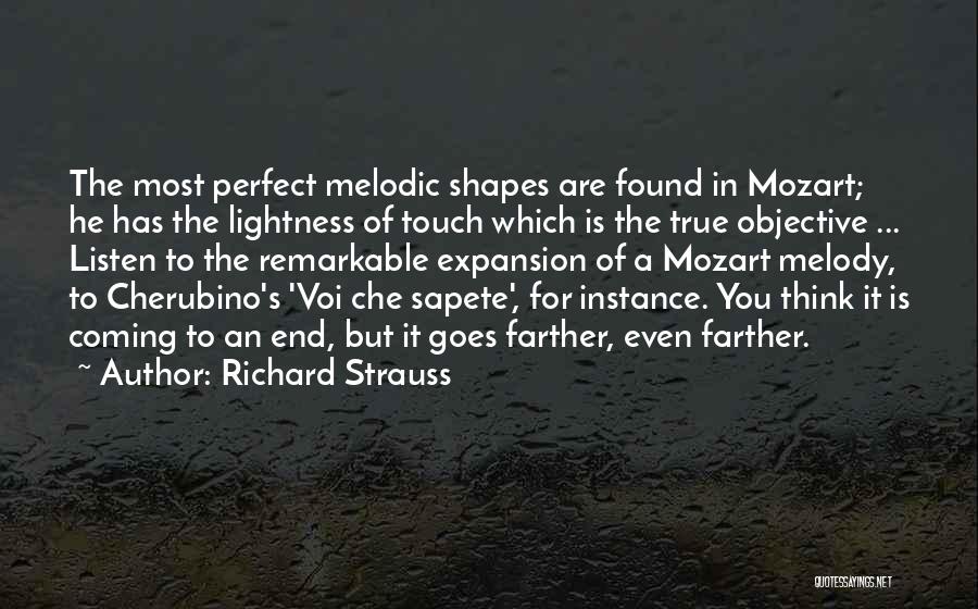 Richard Strauss Quotes 105365