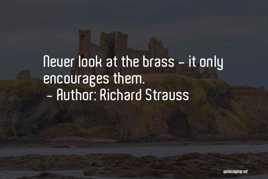 Richard Strauss Quotes 1817619