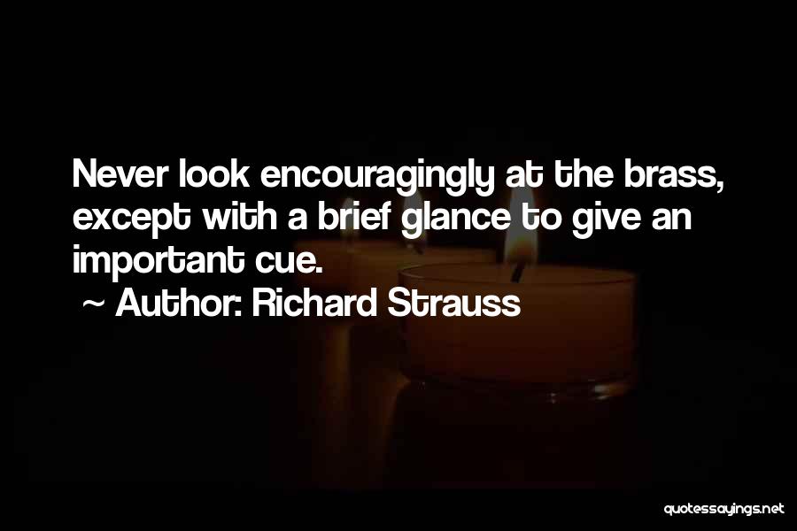 Richard Strauss Quotes 2029017