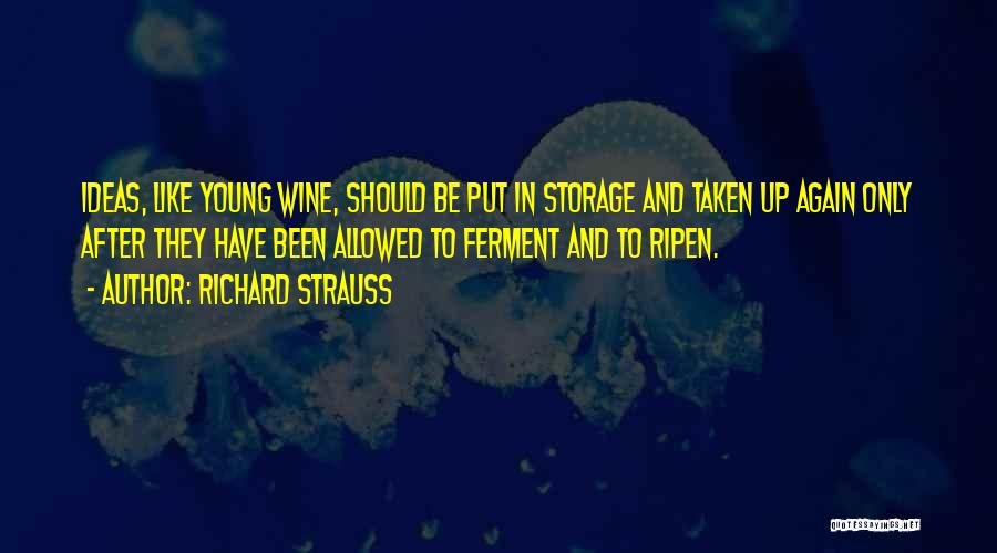 Richard Strauss Quotes 405948