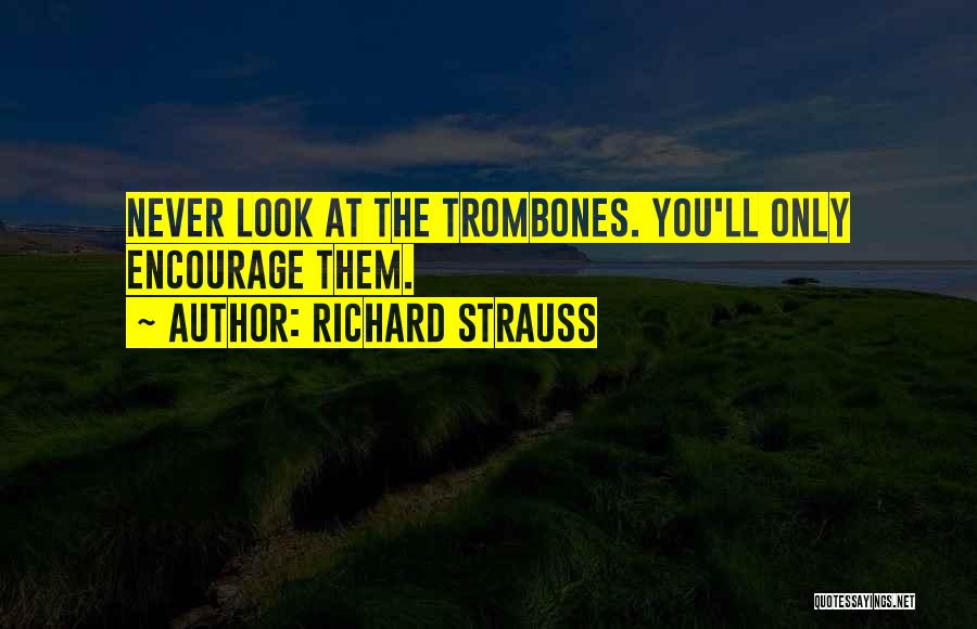 Richard Strauss Quotes 415364