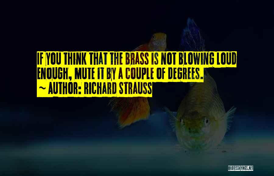 Richard Strauss Quotes 583044