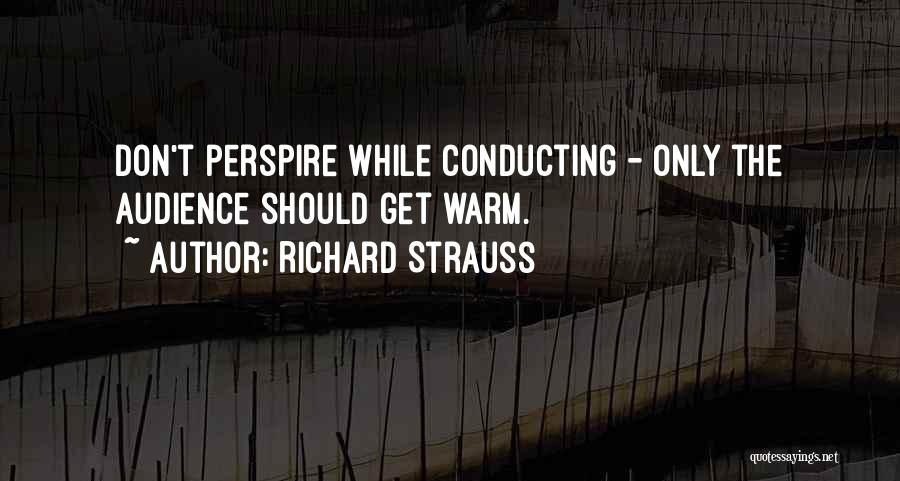 Richard Strauss Quotes 892741