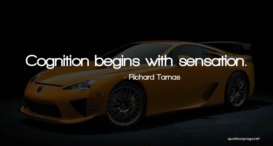 Richard Tarnas Quotes 453594