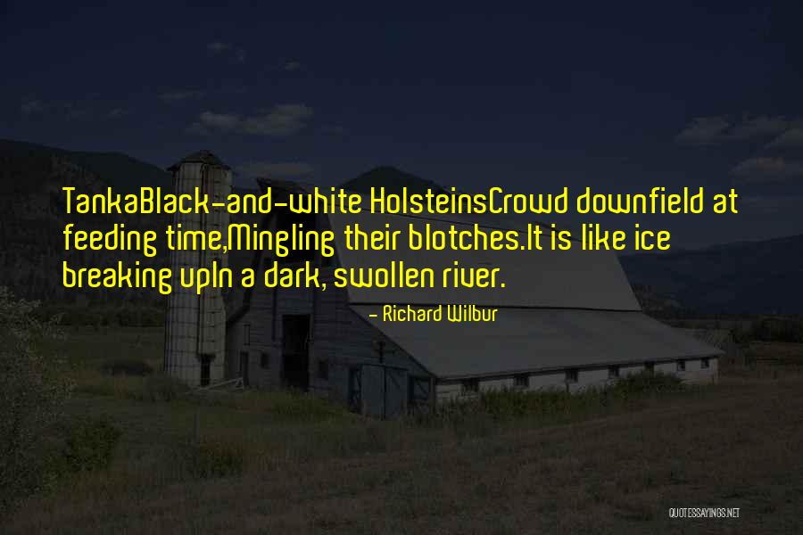 Richard Wilbur Quotes 2205494