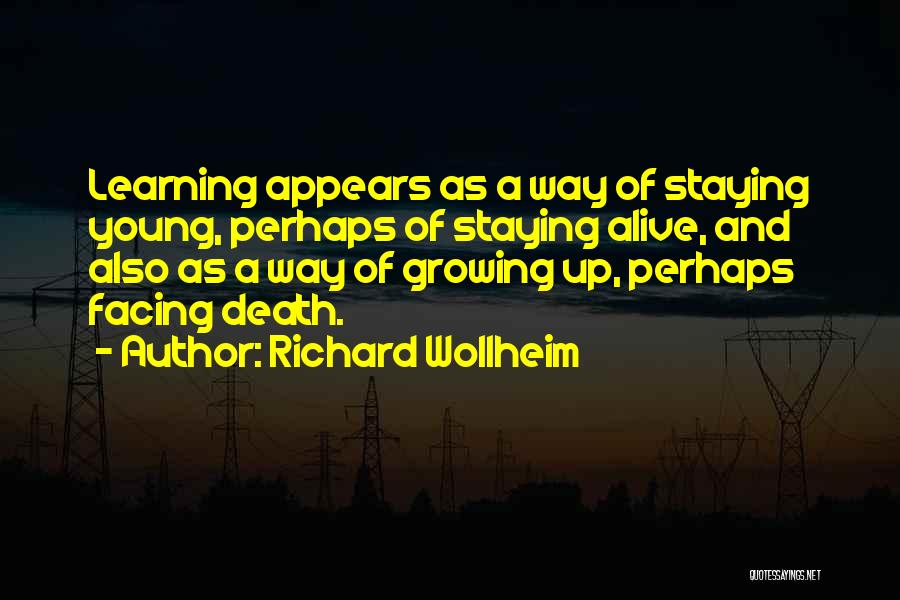 Richard Wollheim Quotes 1590497