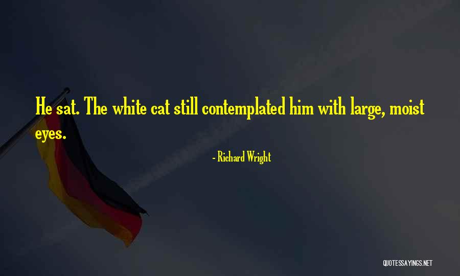 Richard Wright Quotes 1076796