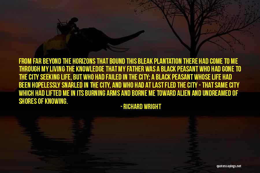 Richard Wright Quotes 1612508