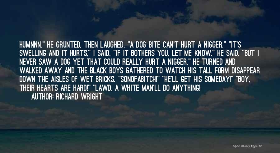 Richard Wright Quotes 965209