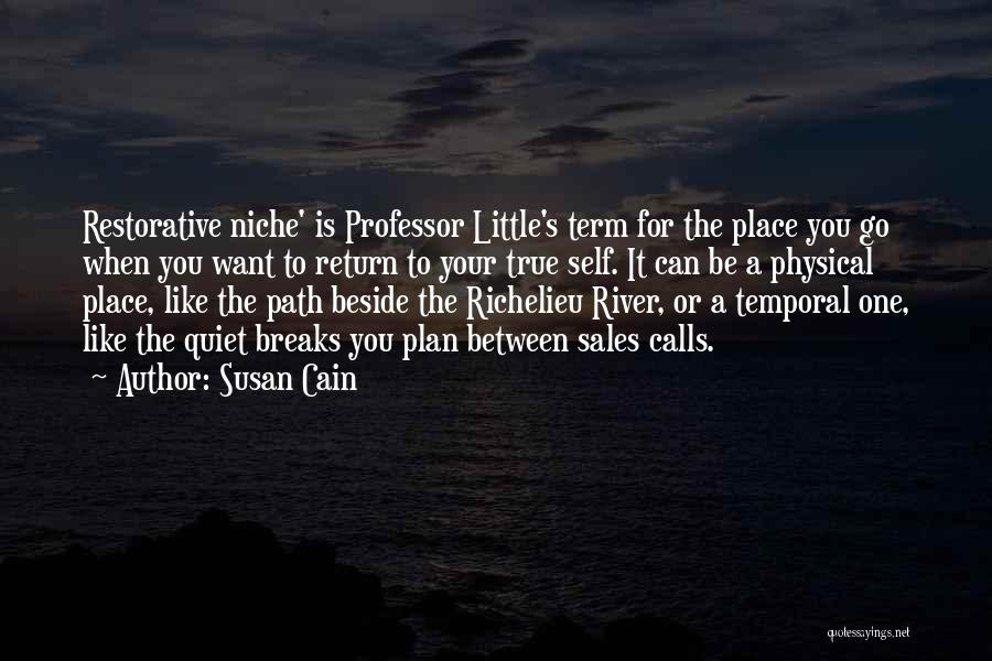 Richelieu Quotes By Susan Cain