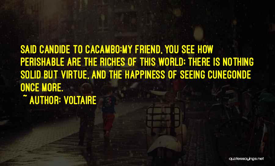 Riches And Happiness Quotes By Voltaire