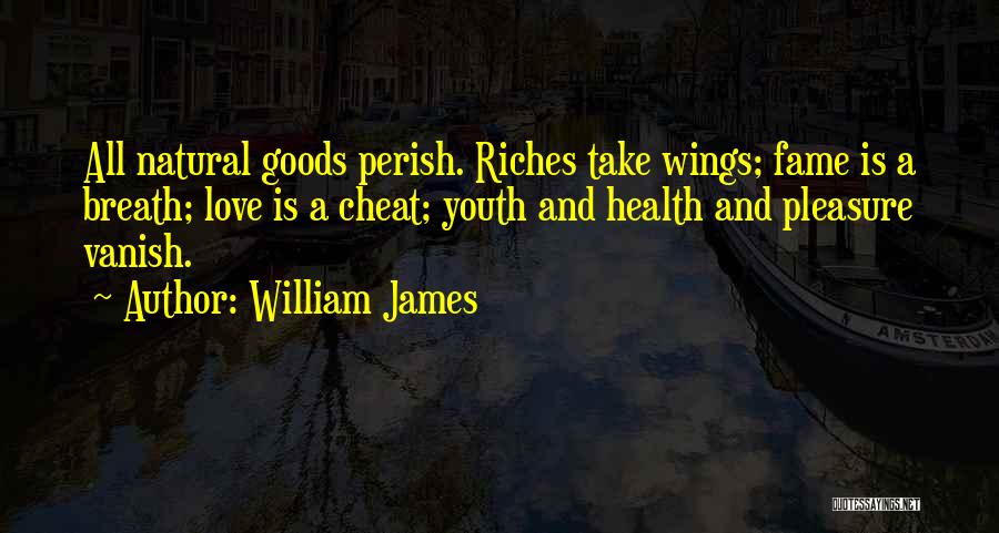 Riches And Love Quotes By William James