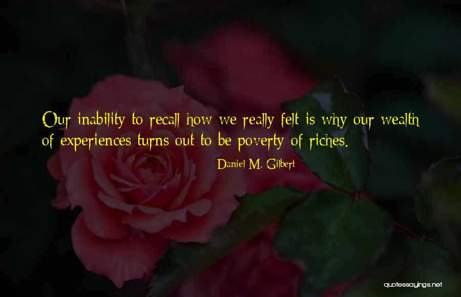 Riches Wealth Quotes By Daniel M. Gilbert