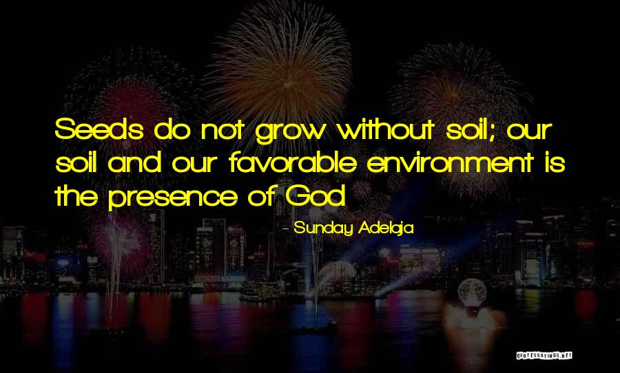 Riches Wealth Quotes By Sunday Adelaja