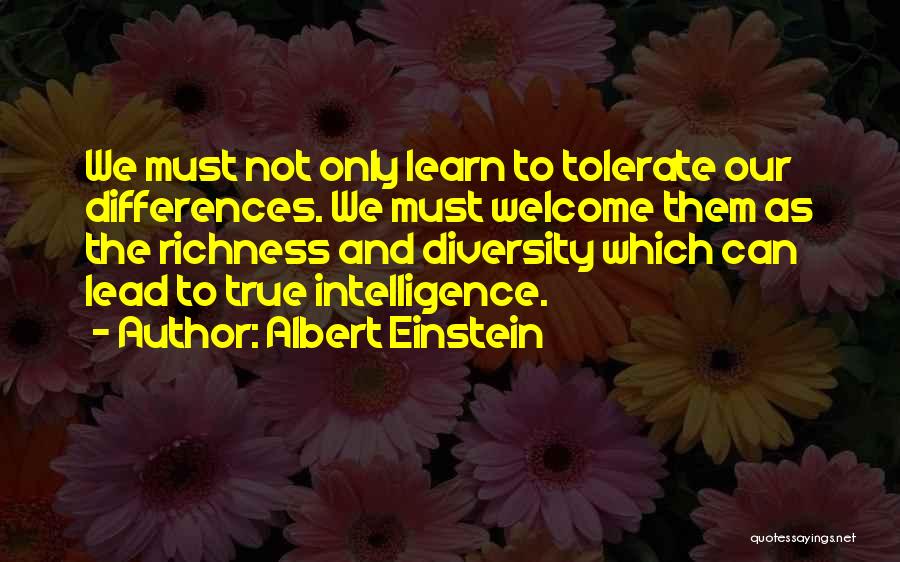 Richness Quotes By Albert Einstein