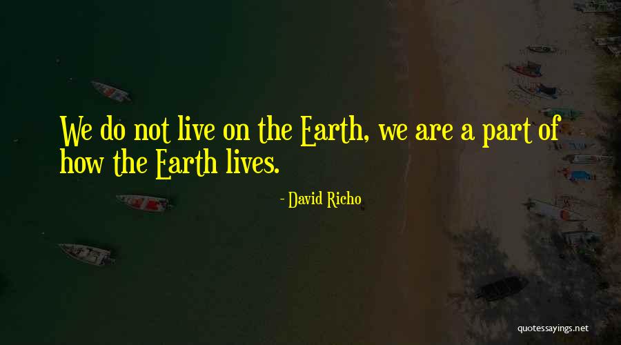 Richo Quotes By David Richo