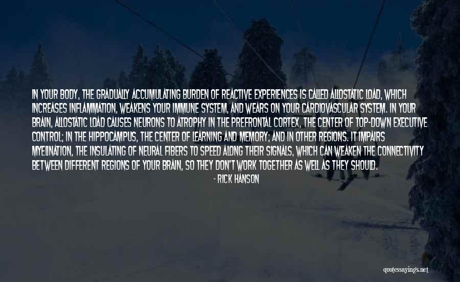 Rick Hanson Quotes 464233 Rick Hanson Quotes 464233