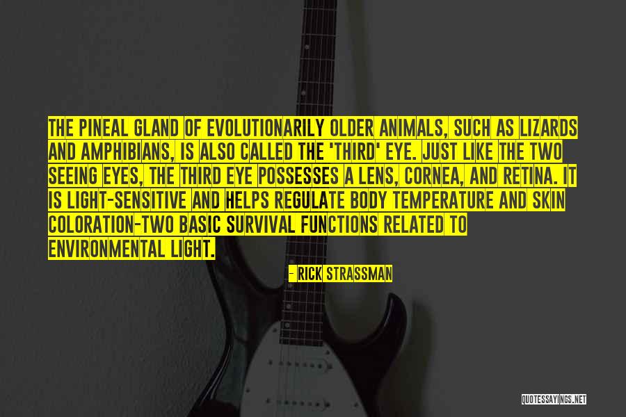 Rick Strassman Quotes 1625836 Rick Strassman Quotes 1625836