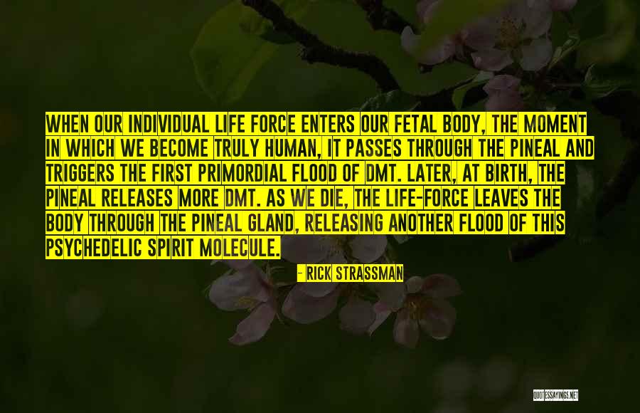 Rick Strassman Quotes 676046 Rick Strassman Quotes 676046