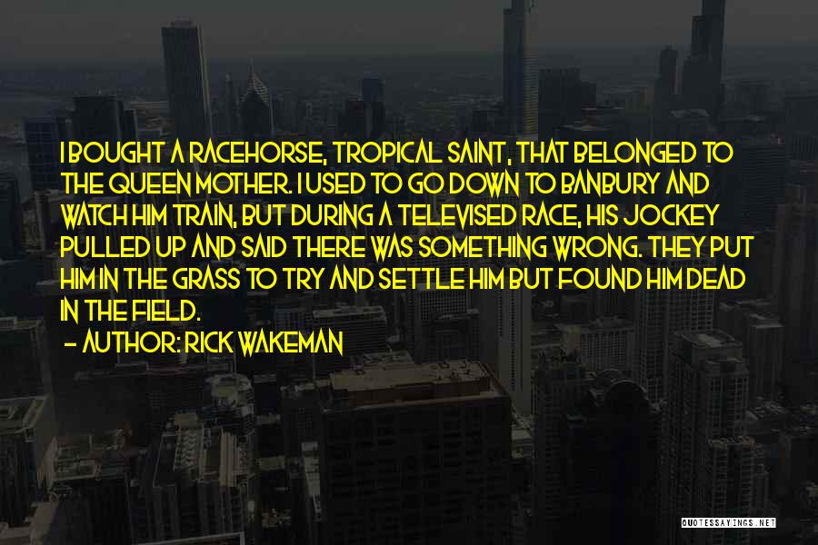 Rick Wakeman Quotes 1673894