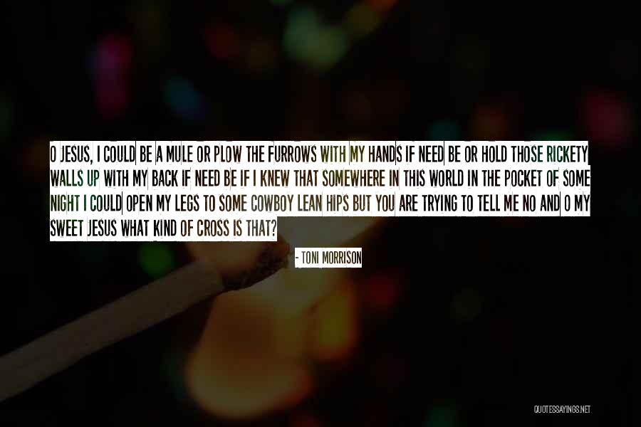 Rickety Quotes By Toni Morrison Rickety Quotes By Toni Morrison