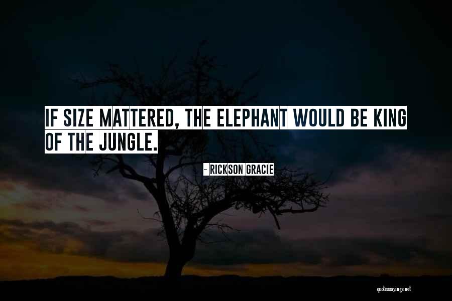 Rickson Gracie Quotes 1866576 Rickson Gracie Quotes 1866576