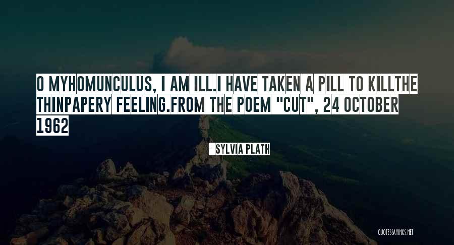 Ricky Berwick Quotes By Sylvia Plath Ricky Berwick Quotes By Sylvia Plath