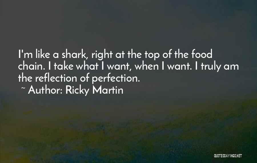 Ricky Martin Quotes 2132419