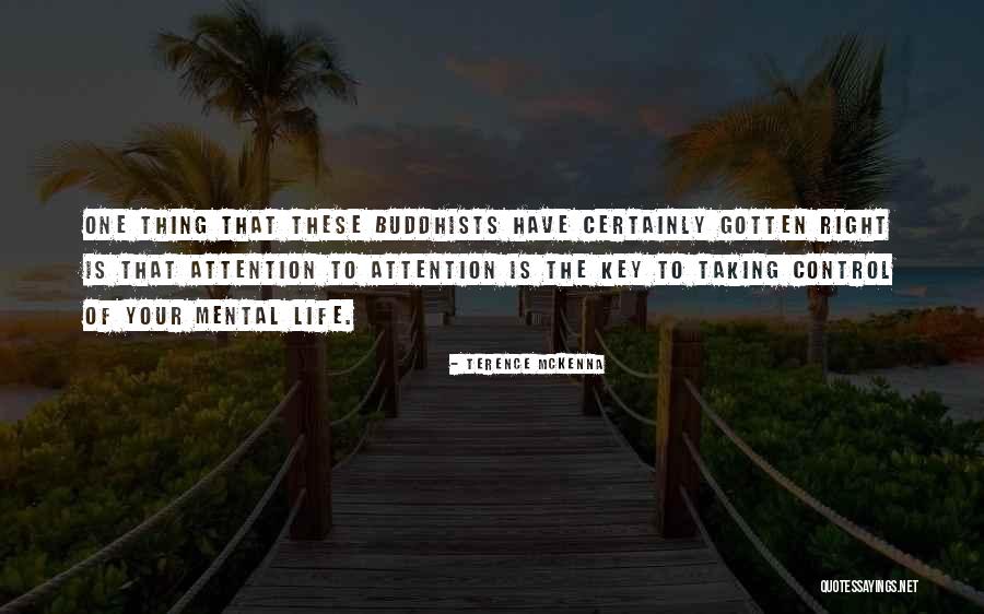 Ricordella Quotes By Terence McKenna
