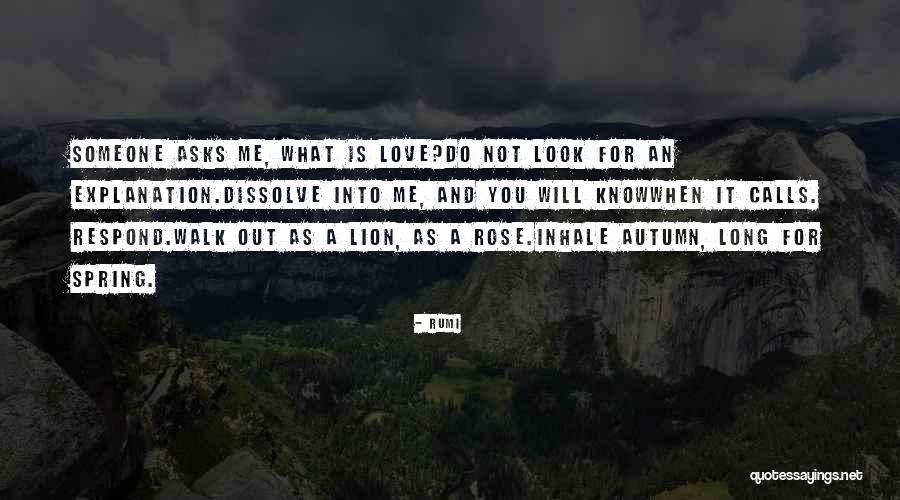 Ricossa Winery Quotes By Rumi Ricossa Winery Quotes By Rumi