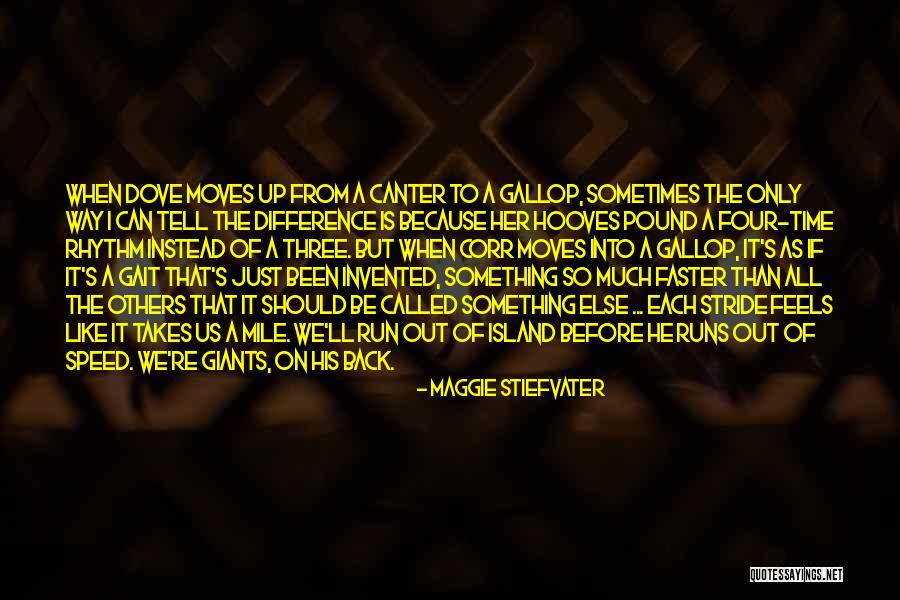 Ricote Murcia Quotes By Maggie Stiefvater Ricote Murcia Quotes By Maggie Stiefvater