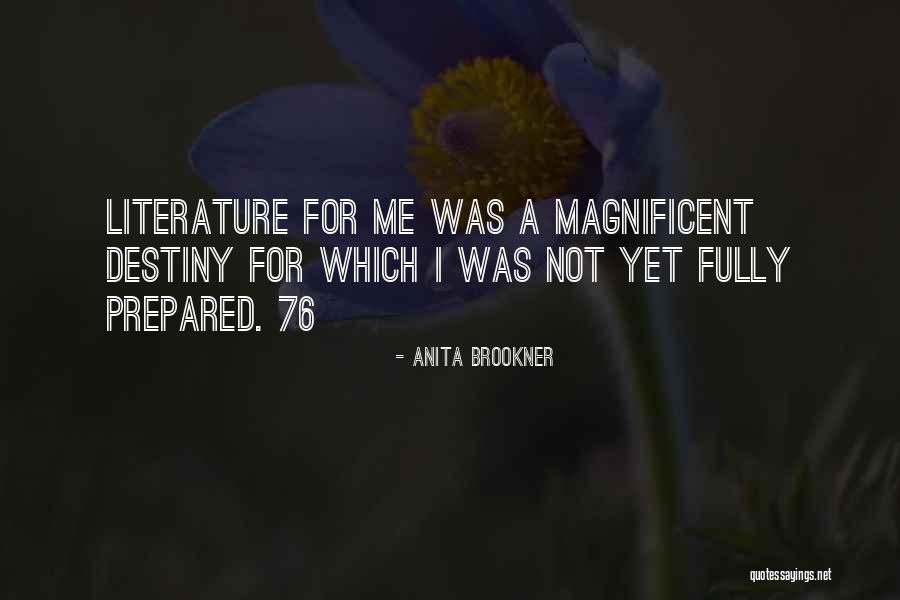 Ricupero Inc Quotes By Anita Brookner Ricupero Inc Quotes By Anita Brookner