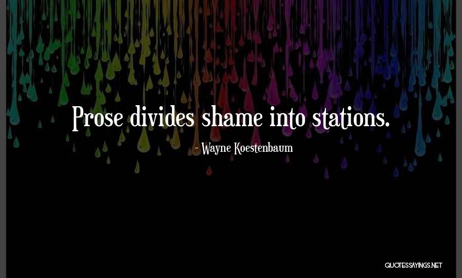 Ricupero Inc Quotes By Wayne Koestenbaum