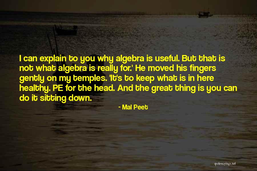 Ride Van Quotes By Mal Peet Ride Van Quotes By Mal Peet