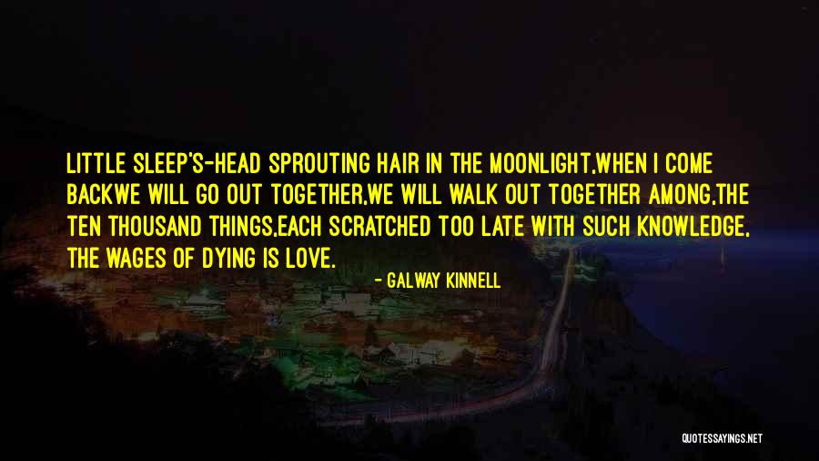 Ridenbaugh Child Quotes By Galway Kinnell Ridenbaugh Child Quotes By Galway Kinnell