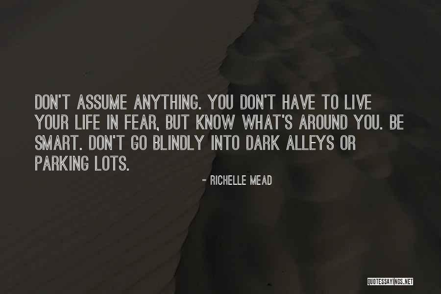 Rident Park Quotes By Richelle Mead Rident Park Quotes By Richelle Mead