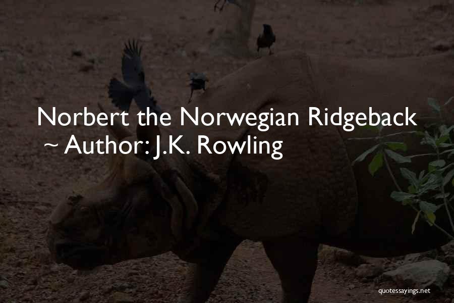 Ridgeback Quotes By J.K. Rowling