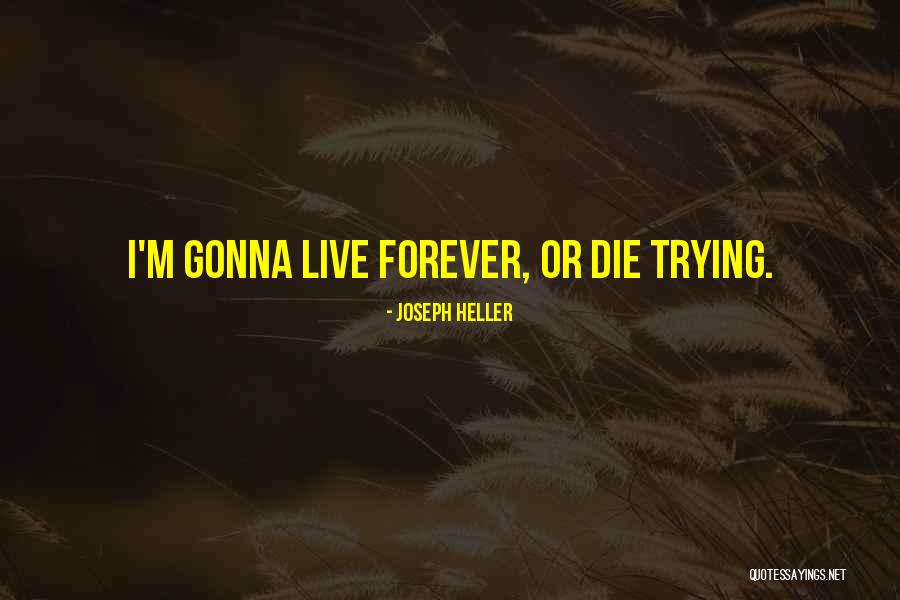 Ridgewell Construction Quotes By Joseph Heller Ridgewell Construction Quotes By Joseph Heller