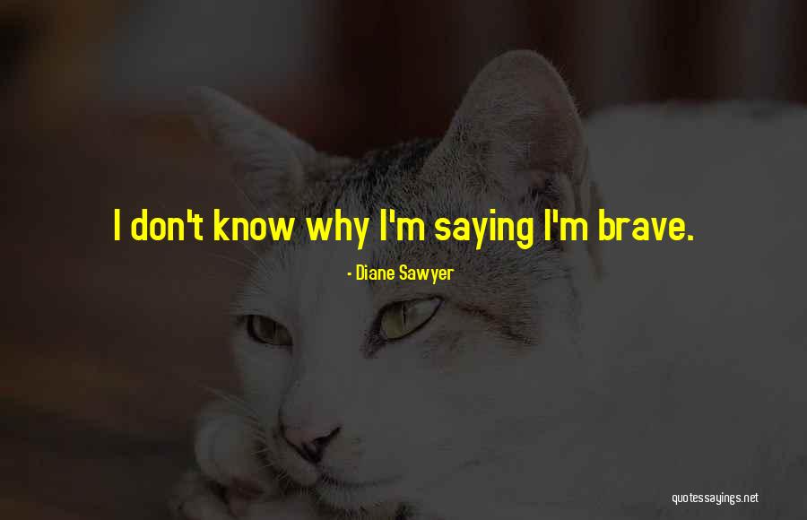 Ridicati Quotes By Diane Sawyer Ridicati Quotes By Diane Sawyer