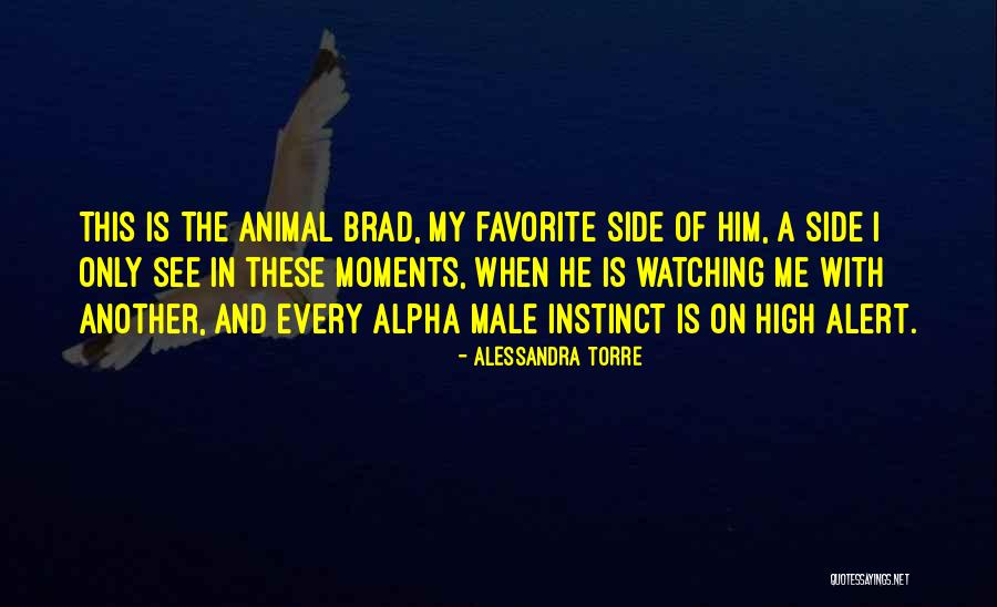 Ridici Komise Quotes By Alessandra Torre Ridici Komise Quotes By Alessandra Torre