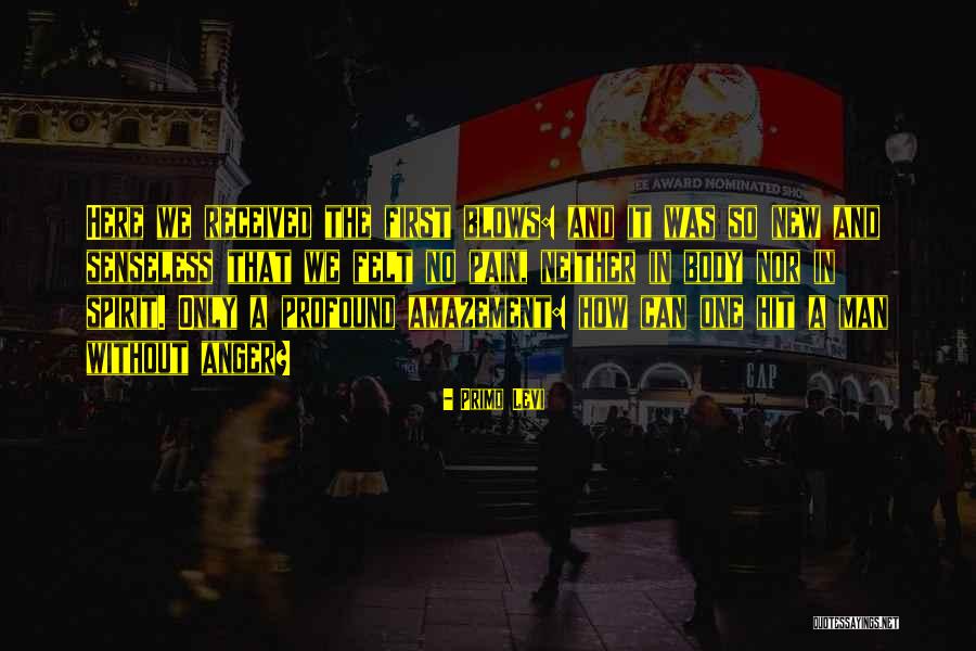 Ridicolosamente Quotes By Primo Levi Ridicolosamente Quotes By Primo Levi